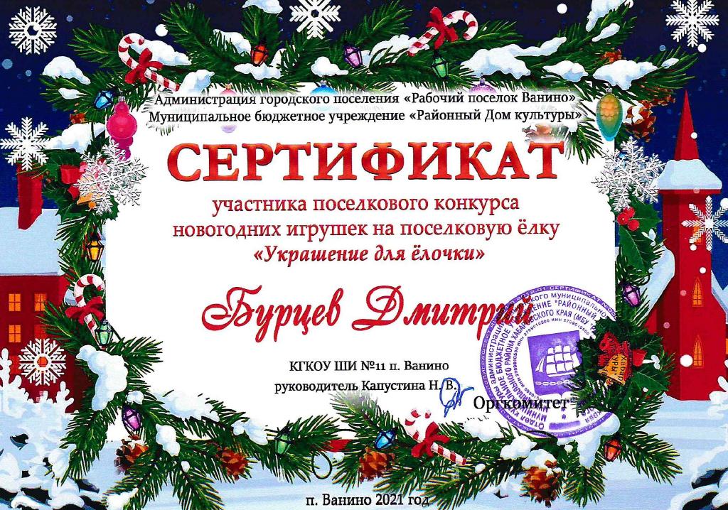 Бурцев Дмитрий (Капустина Н.В.)